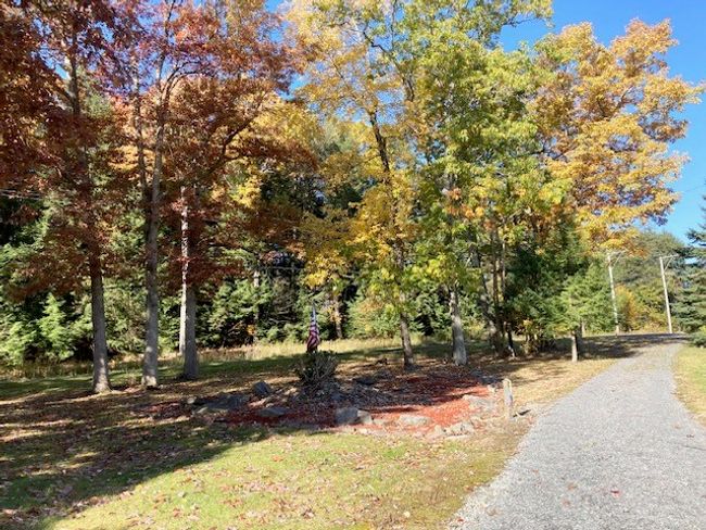 9840 Route 36, House other with 3 bedrooms, 3 bathrooms and 2 parking in Sigel PA | Image 45