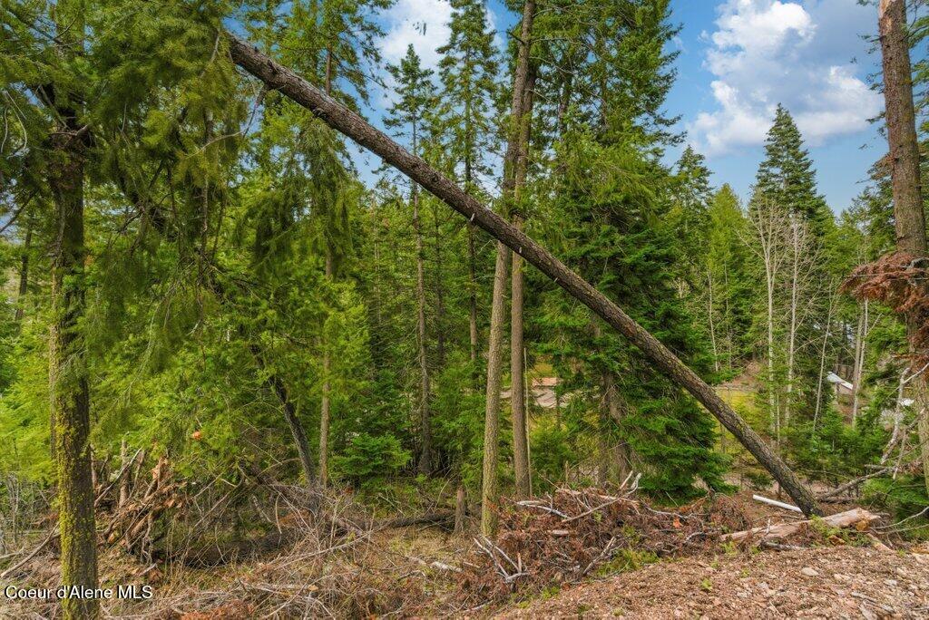 Land in Coeur d'Alene 5