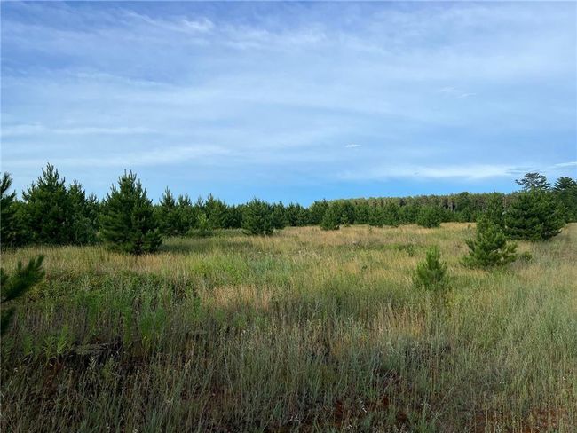 W39XX Frog Creek Rd, Home with 0 bedrooms, 0 bathrooms and null parking in MINONG WI | Image 7