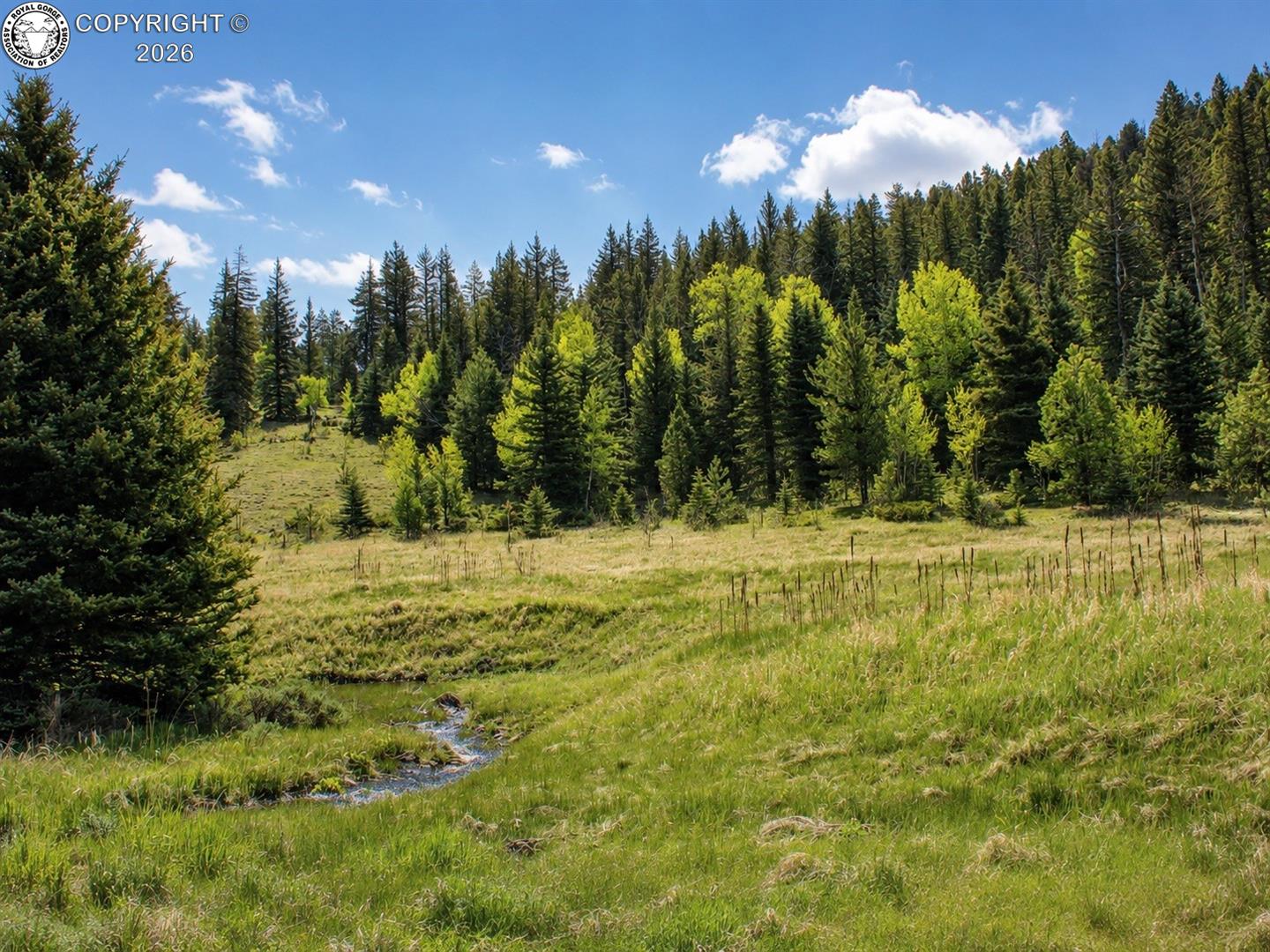 Land in Westcliffe