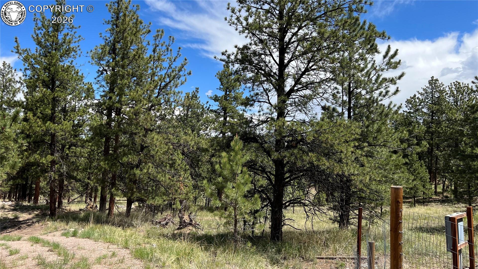 Land in Westcliffe 2