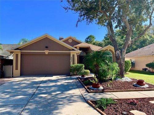 8553 Manassas Rd, Tampa, FL, 33635-1601 | Card Image