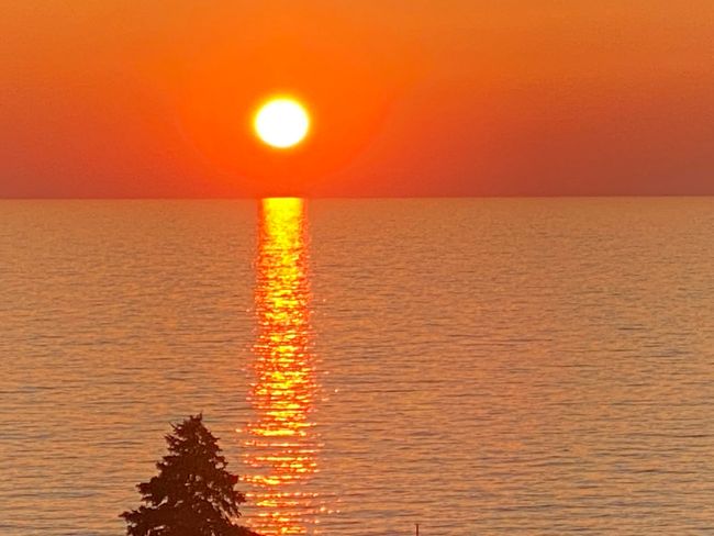 27 - 4144 Ridge Rd, Condo with 1 bedrooms, 1 bathrooms and null parking in Stevensville MI | Image 33