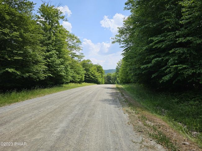 Sawmill Rd towards Old Woods and marina | Image 14