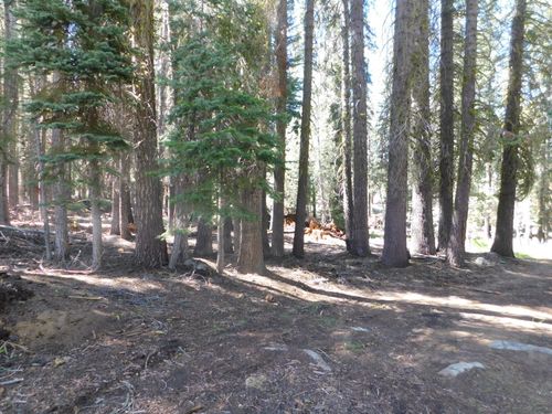 0 Kitch Trl, Arnold, CA, 95223 | Card Image
