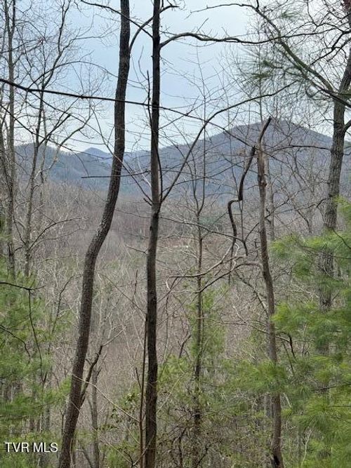 Tbd Ray Kegley Rd, Erwin, TN, 37650 | Card Image