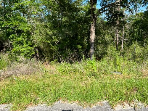 0 E White Rose St, Defuniak Springs, FL, 32433 | Card Image