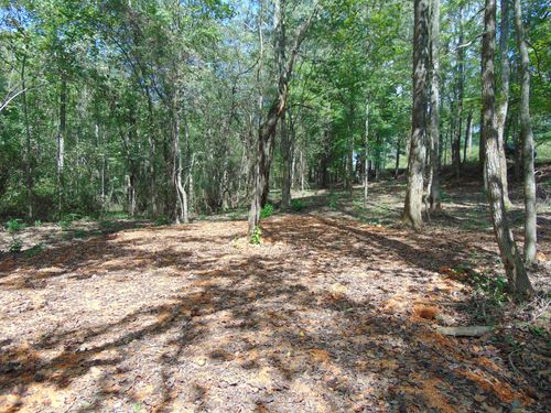 0 Alexander Springs Rd, Ethridge, TN, 38456 | Card Image