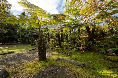 19-4245 Kekoa Nui Blvd, VOLCANO, HI, 96785 | Card Image