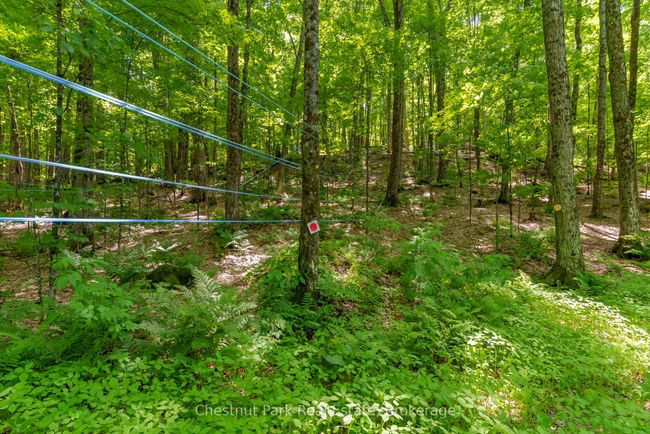 487 O'connor Line, House other with 3 bedrooms, 2 bathrooms and 10 parking in Powassan ON | Image 42