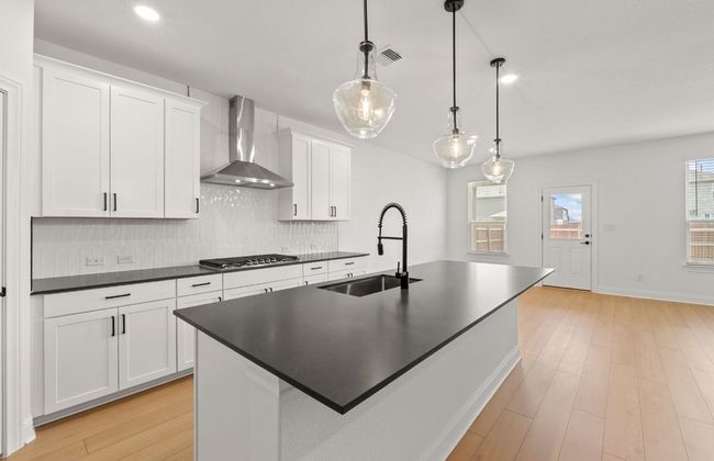 16824 Santiaguillo Trce, House other with 5 bedrooms, 4 bathrooms and 2 parking in Manor TX | Image 6