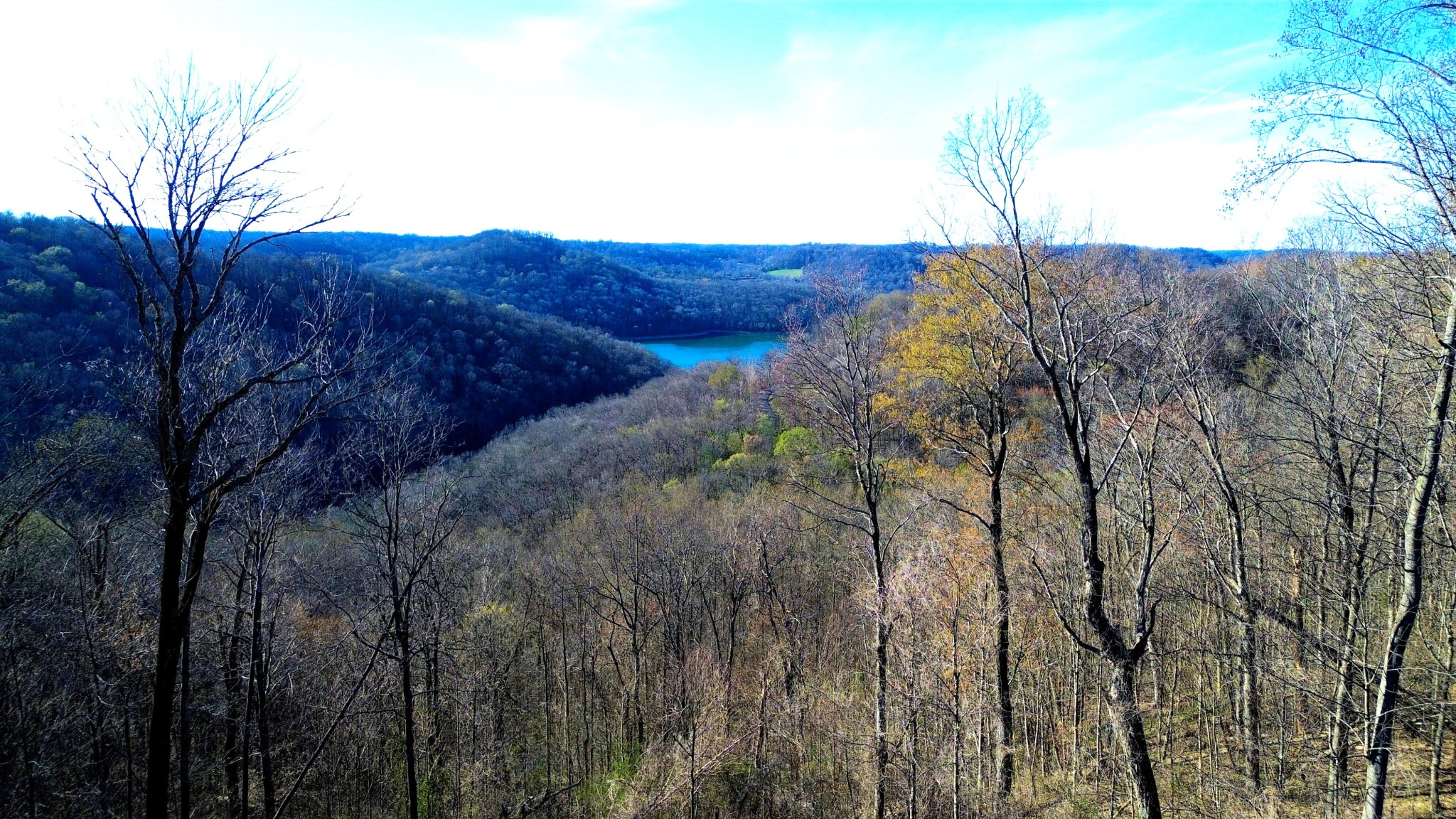Land in Smithville 4