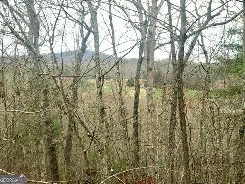 LOT 9 Sunrise Ct, Blue Ridge, GA, 30513-8614 | Card Image