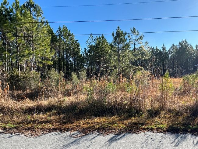 912 NE 5th St, Home with 0 bedrooms, 0 bathrooms and null parking in Carrabelle FL | Image 9