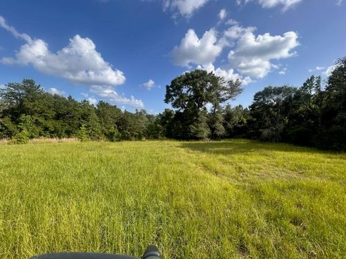 LOT 184 & 185 Hunters Creek, Hillister, TX, 77624 | Card Image