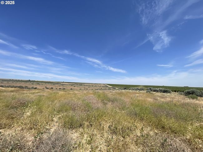 38 Vineyard View Dr, House other with 1 bedrooms, 1 bathrooms and null parking in Bickleton WA | Image 17
