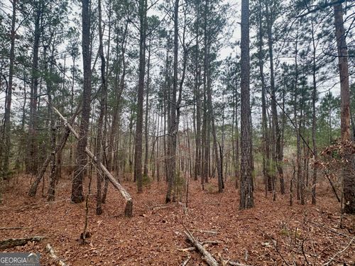 3555-acres--0 Rock Quarry Rd, Yatesville, GA, 31097 | Card Image