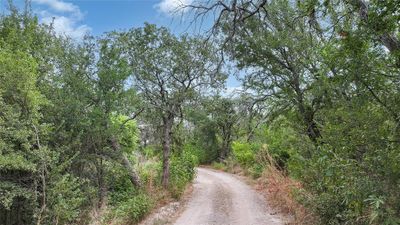 View of street | Image 1