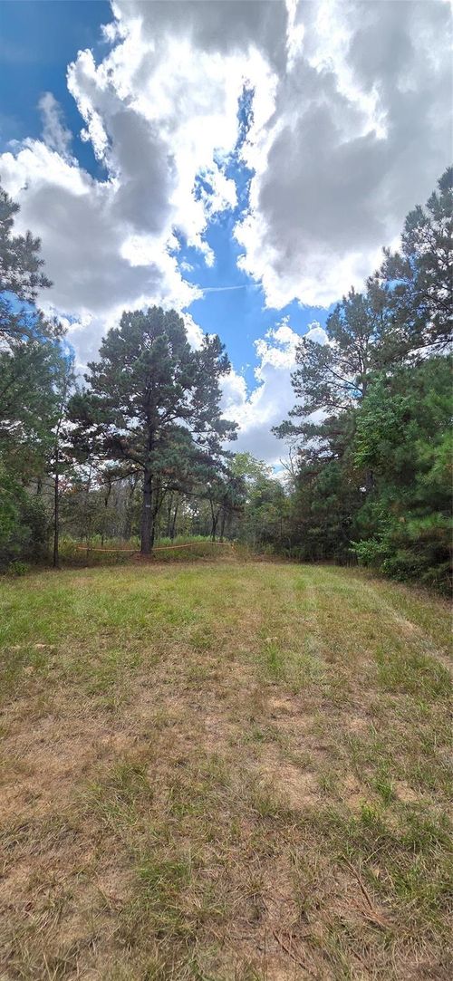 0 & 29699 W Mcclellan Ct, Hempstead, TX, 77445 | Card Image