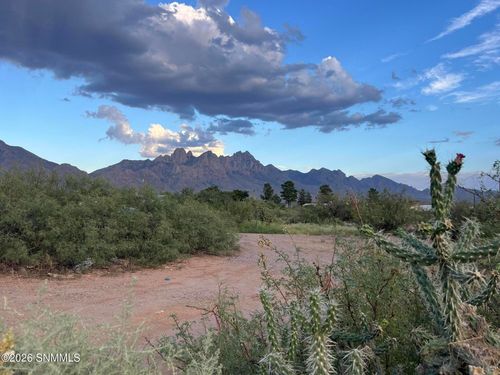9200 Higgins Ln, Las Cruces, NM, 88011-6643 | Card Image