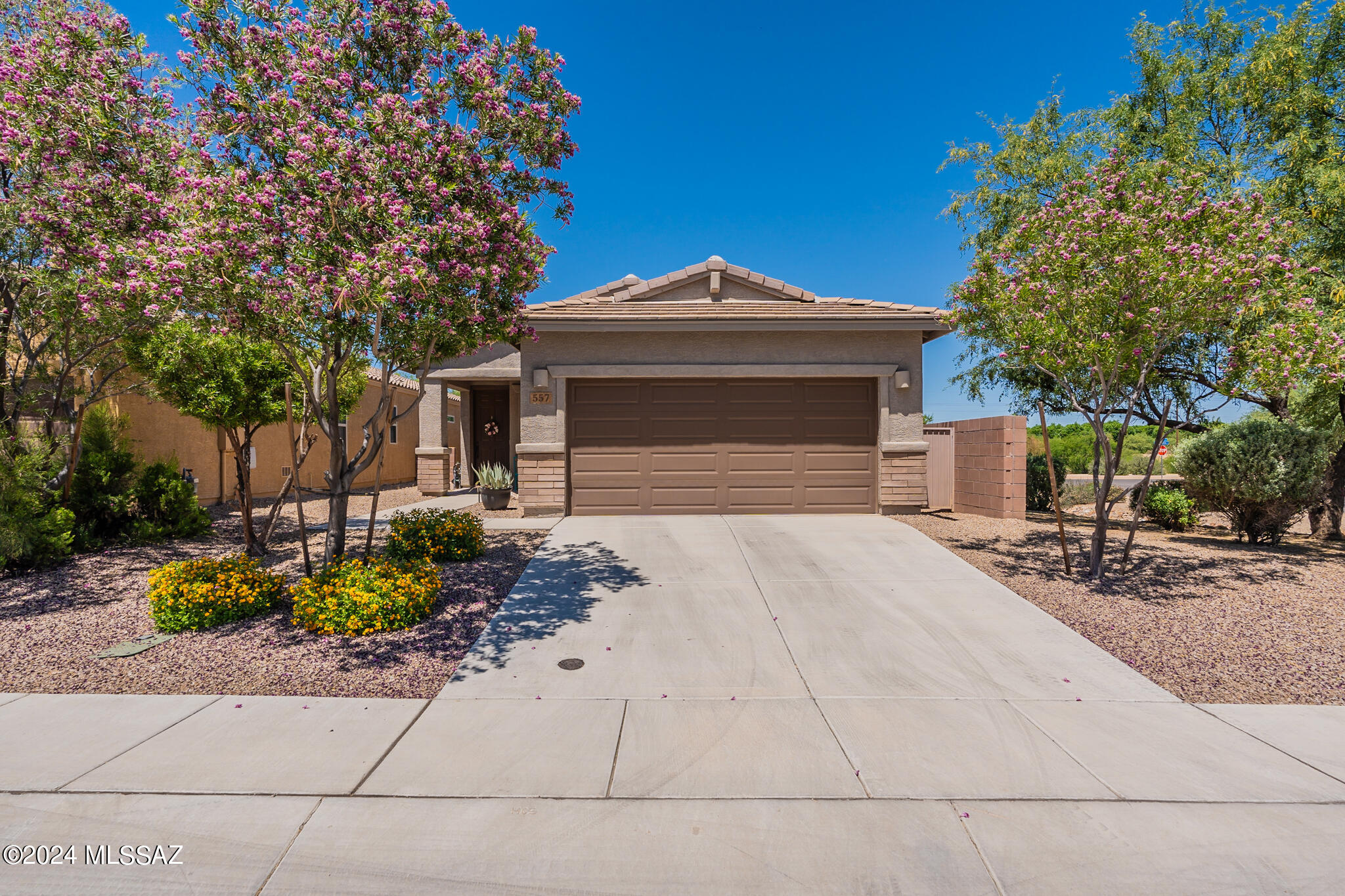 Pecan Sweeper Ln, Sahuarita, AZ 85629