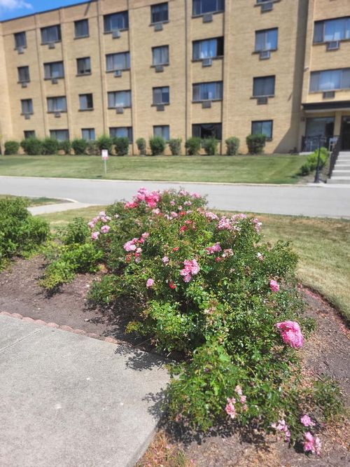 404-6670 S Brainard Avenue, Countryside, IL, 60525 | Card Image