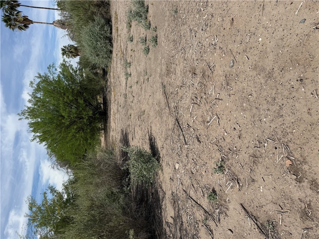 Land in Mohave Valley 5