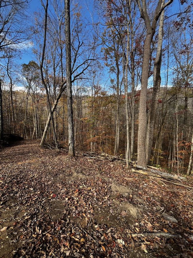 0 Northcutts Cove Rd, Home with 0 bedrooms, 0 bathrooms and null parking in Beersheba Springs TN | Image 22