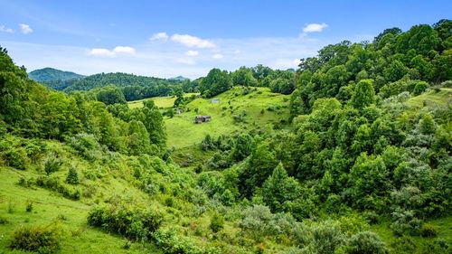 TBD Cooks Mountain Rd, Cleveland, VA, 24225 | Card Image