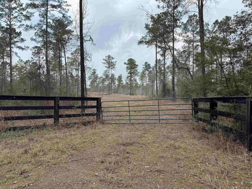 090 County Divide Rd, Pineland, TX, 75968 | Card Image