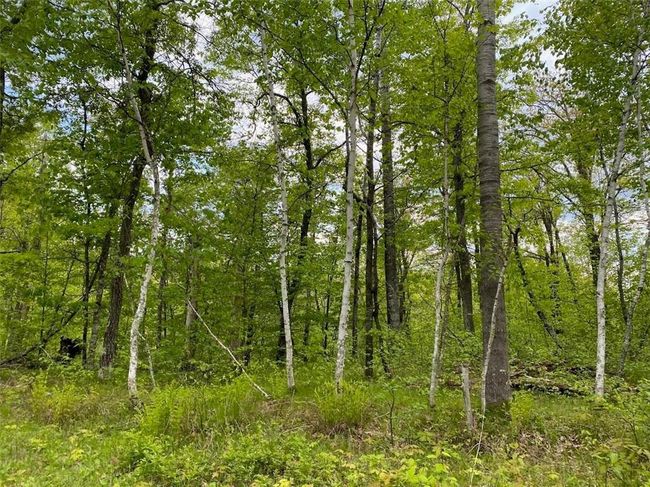 0 Hustvet Dr, Home with 0 bedrooms, 0 bathrooms and null parking in Trego WI | Image 5