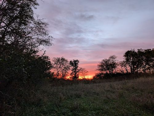 7970 Jesup St, Indianola, IA, 50125 | Card Image