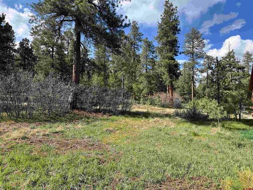 51 Diamond Ct, Pagosa Springs, CO, 81147-9041 | Card Image