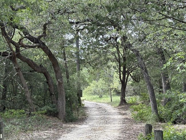 Driveway to the home. | Image 4