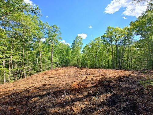 143 Megan Trace Ln, Turtletown, TN, 37391-4046 | Card Image