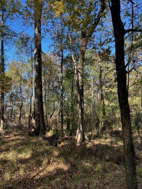 Land in Broken Bow 4
