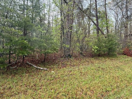 0 Mountain Ash Dr, Monterey, TN, 38574 | Card Image