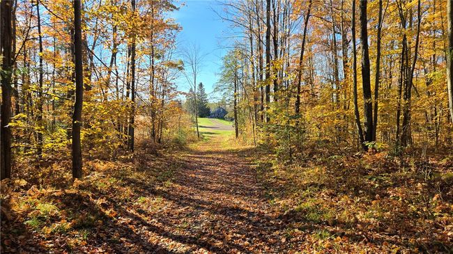 2984 N Weirgor Rd, House other with 4 bedrooms, 1 bathrooms and null parking in EXELAND WI | Image 32