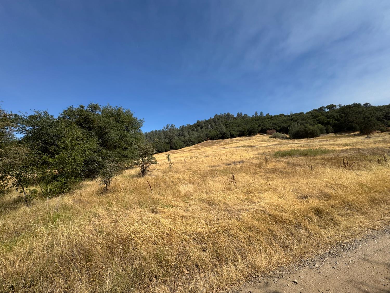 Land in North San Juan 3