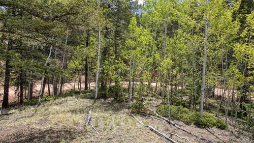 1058 Bennett Dr, Cripple Creek, CO, 80813 | Card Image