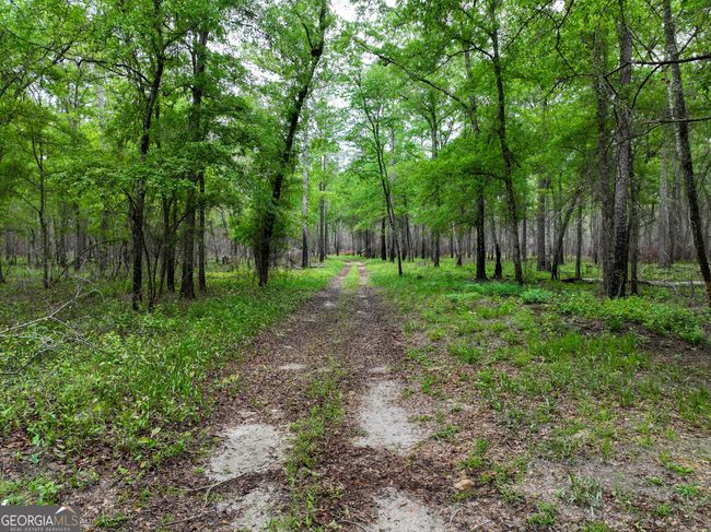 6620 Jr Sims Rd, Home with 0 bedrooms, 0 bathrooms and null parking in Irwinton GA | Image 55