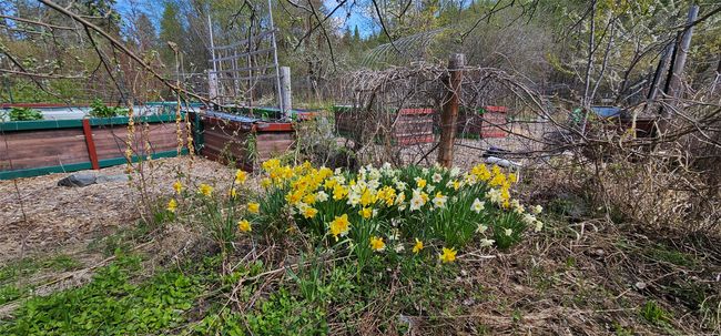 View of yard | Image 121