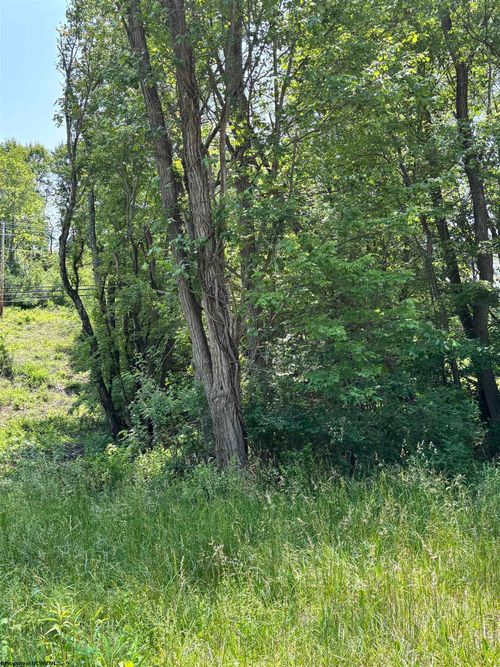LOT 4 Barbour County Hwy, Philippi, WV, 26416 | Card Image