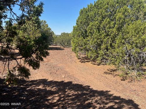 Lot 2 Stanford Drive, Vernon, AZ, 85940 | Card Image