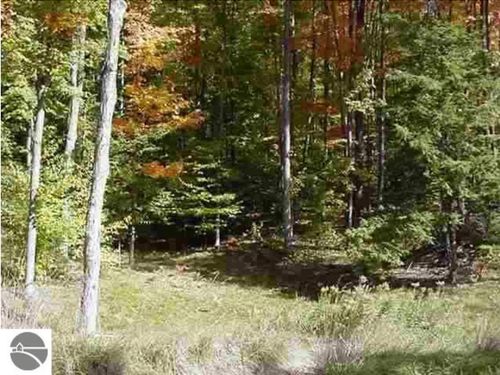 VL#7 Timber Valley Court, Milton Township, MI, 49648 | Card Image