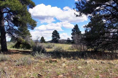 444 Prospect Blvd, Pagosa Springs, CO, 81147-8283 | Card Image