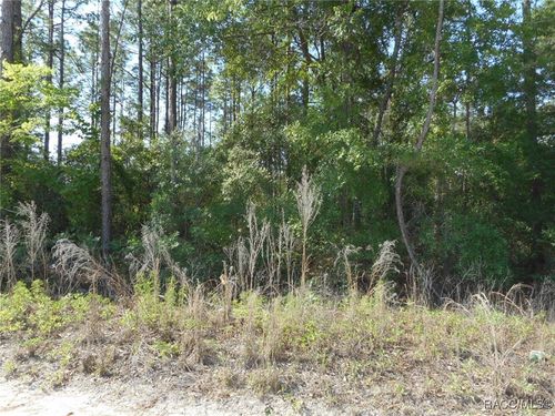 43 Sw 51st Lane, Dunnellon, FL, 34432 | Card Image