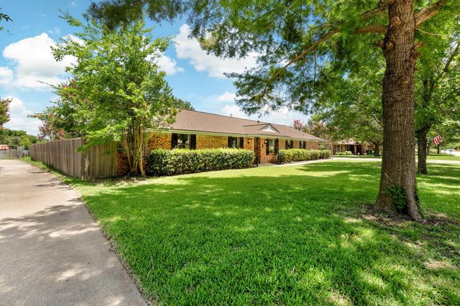 Large mature trees in front of home | Image 32