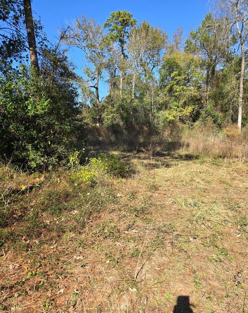 10287 Wanda Ln, Montgomery, TX, 77316-2037 | Card Image