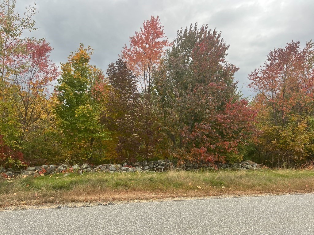 Land in Brimfield 3